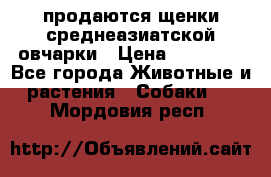 продаются щенки среднеазиатской овчарки › Цена ­ 30 000 - Все города Животные и растения » Собаки   . Мордовия респ.